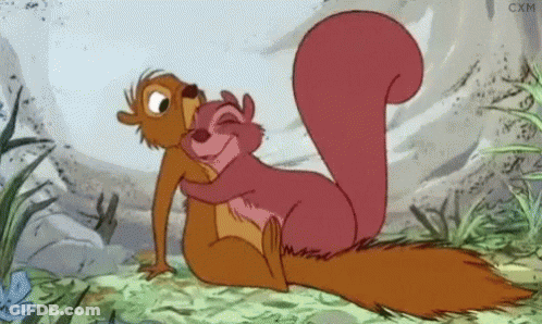 Squirrels Hugging In Cartoon GIF