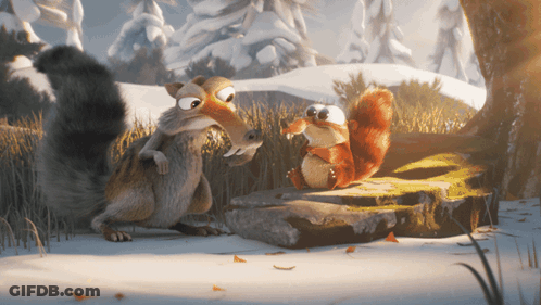 Squirrels Standing In Snow GIF