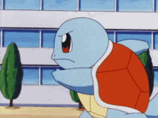 Squirtle Angry Walk GIF