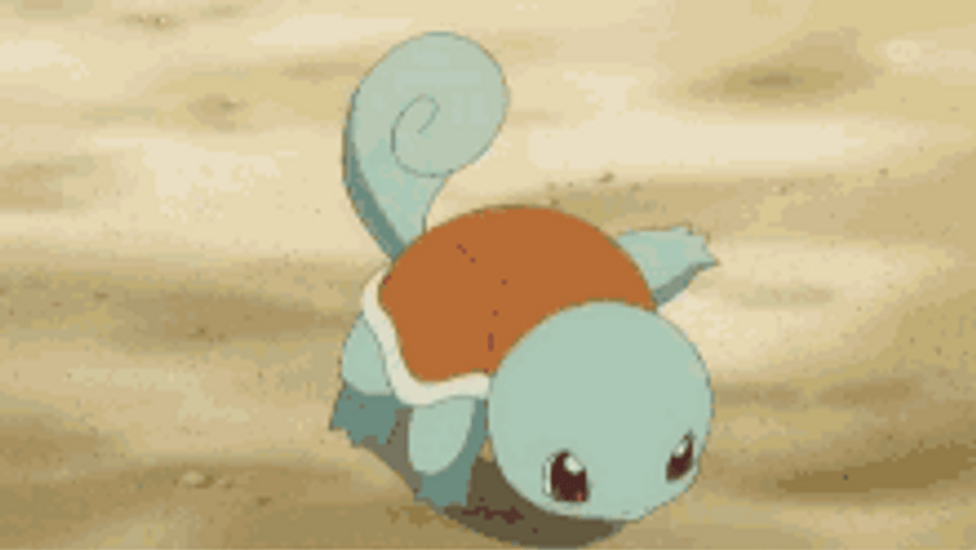 Squirtle Cooking Up A Storm GIF