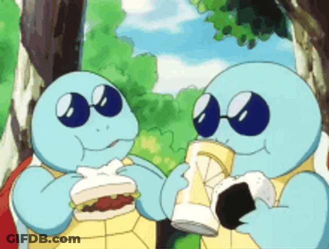 Squirtle Duo Having Fun GIF