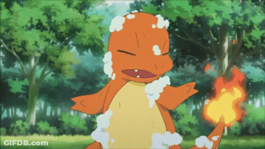 Squirtle Fights Charmander GIF