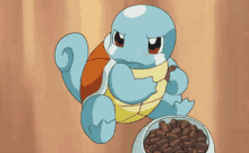 Squirtle Grumpily Eating GIF