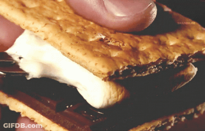 Squishable Delicious Smores GIF