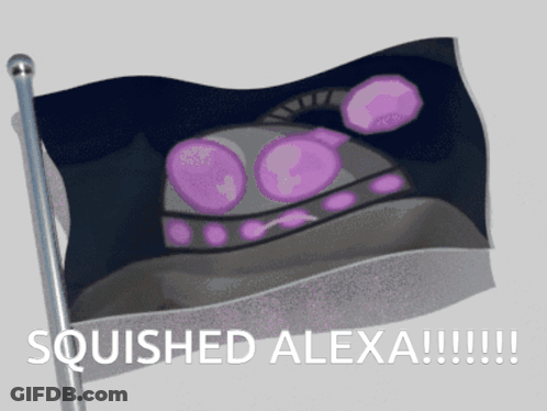 Squished Alexa Flag With Purple UFO GIF