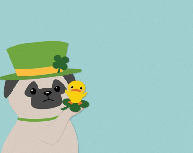 St. Patrick's Day Pug GIF