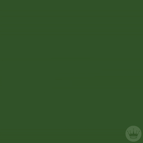 St Patricks Day Birthday Goodluck Card GIF