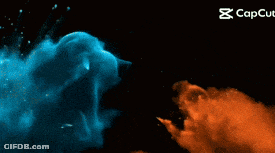 St123 GIF