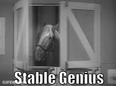 Stable Genius Horse Photo GIF