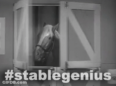 Stable Genius Mr Ed GIF