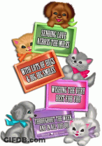 Stack Greeting Cards Sending Love Across Miles GIF