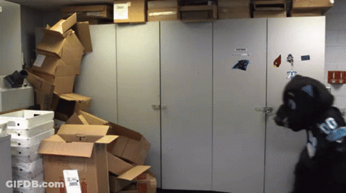 Stack Of Cardboard Boxes With Carolina Panthers Mascot GIF