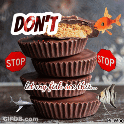 Stack Of Chocolate Peanut Butter Cups Saying Don't Let My Fish See This GIF