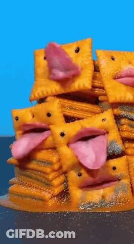 Stack Of Crackers With Faces GIF