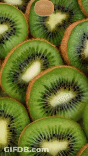 Stacked Kiwi Slices GIF
