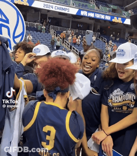 Stadium Crowd With 2024 Champs Sign GIF