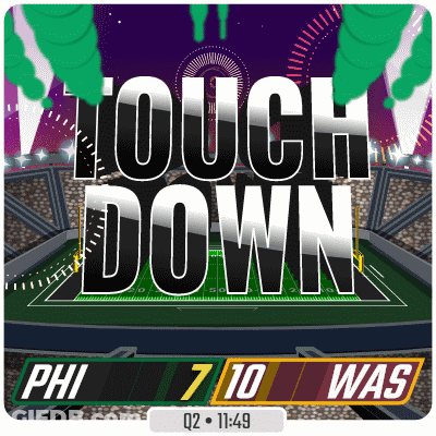 Stadium With Touch Down GIF