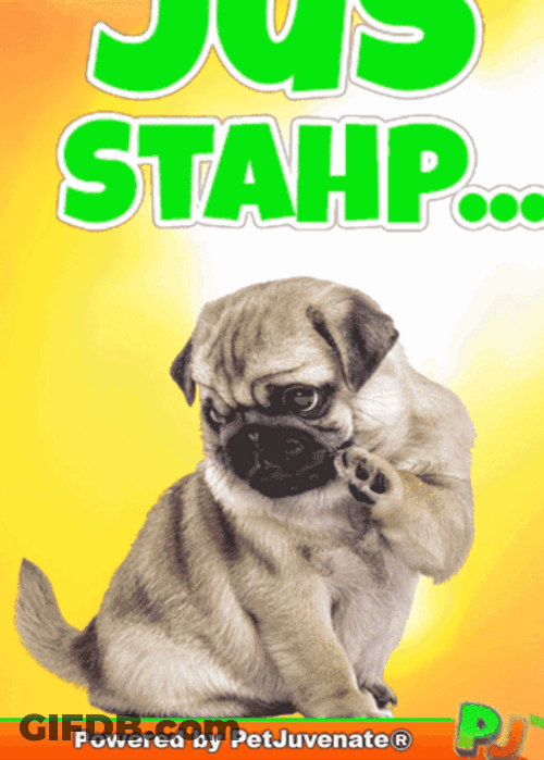 Stahp Cuite Dogs Nose Boop GIF