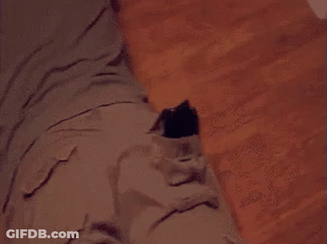 Stahp Panicking Guy Meme GIF