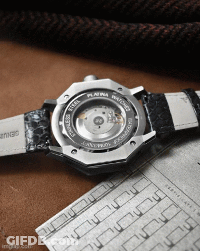 Stainless Steel Platina Watch Back GIF