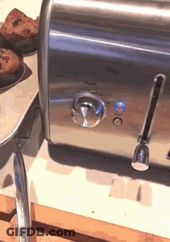 Stainless Steel Toaster With Shade Light GIF