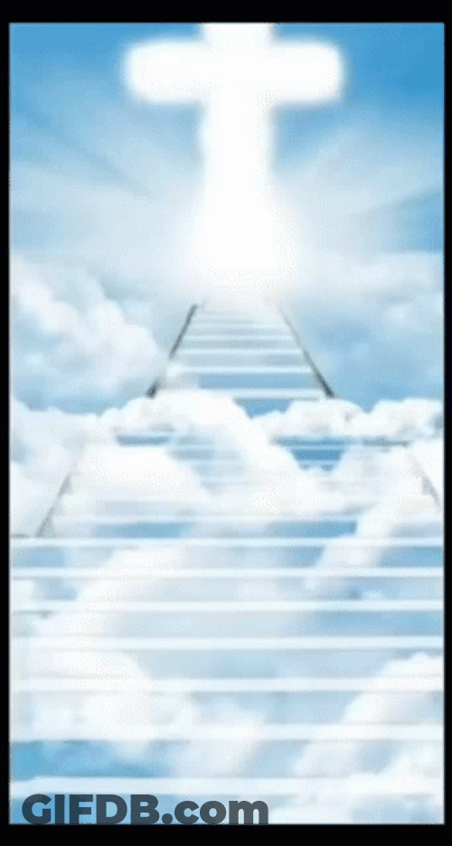 Stairway To Heaven Magical Compilation GIF