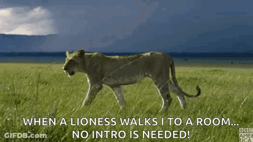 Stalk Walking GIF