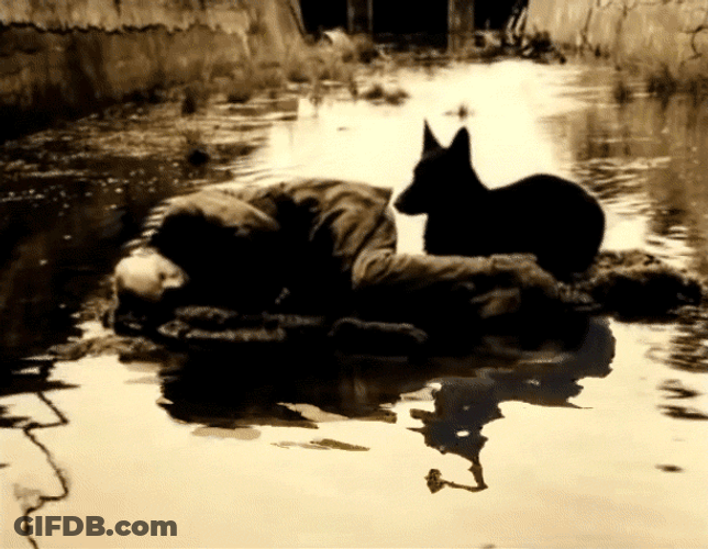 Stalker Film Andrei Tarkovsky GIF