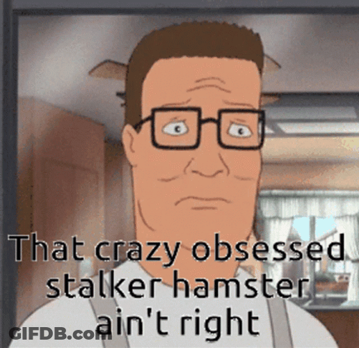 Stalker Hamster Ain't Right GIF