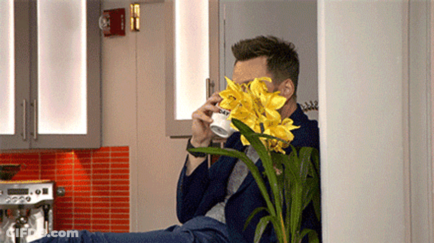Stalking Joel McHale Sneaking GIF