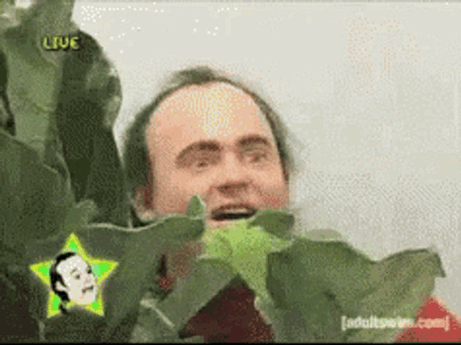 Stalking Weird GIF