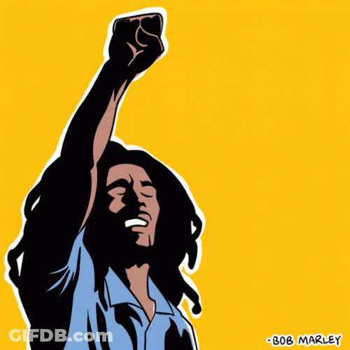 Stand Up For Your Rights Bob Marley GIF
