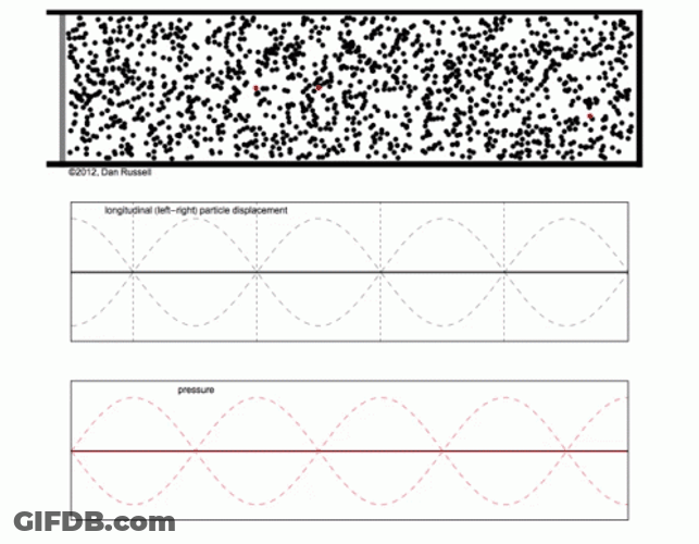 Standing Longtitudinal Sound Wave GIF