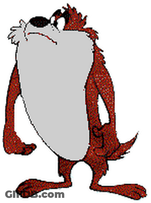 Standing Tasmanian Devil GIF