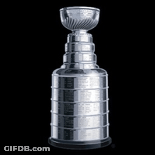 Stanley Champion Cup GIF