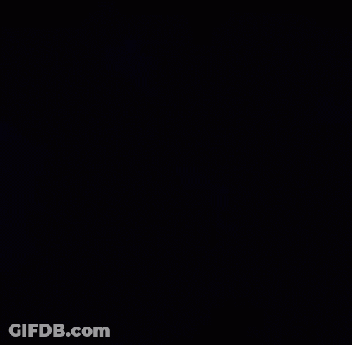 Stanley Cup Champions Lightning Logo GIF