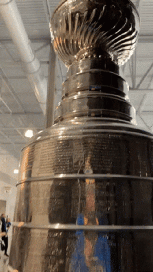 Stanley Cup NHL Trophy Up Close GIF