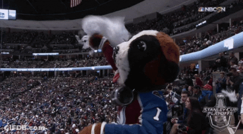 Stanley Cup Playoffs Mascot Dancing GIF
