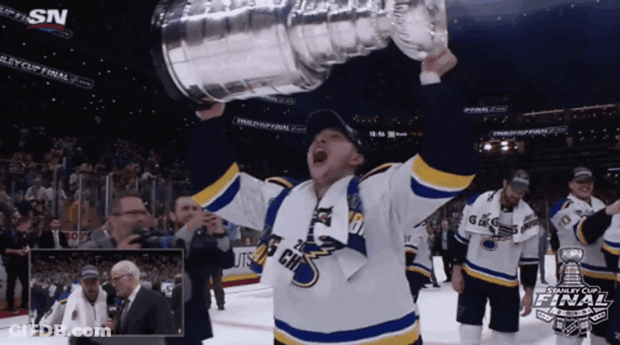 Stanley Cup Vince Dunn St Louis Blues GIF