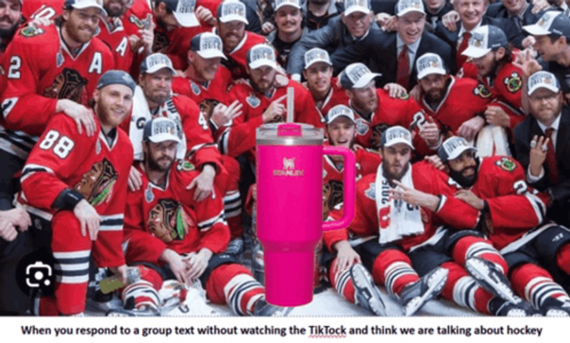 Stanley Hockey Team GIF
