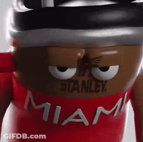 Stanley Tumbler Fierce Look GIF