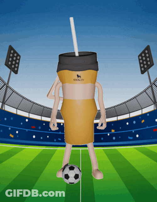 Stanley Tumbler Playing Soccer GIF