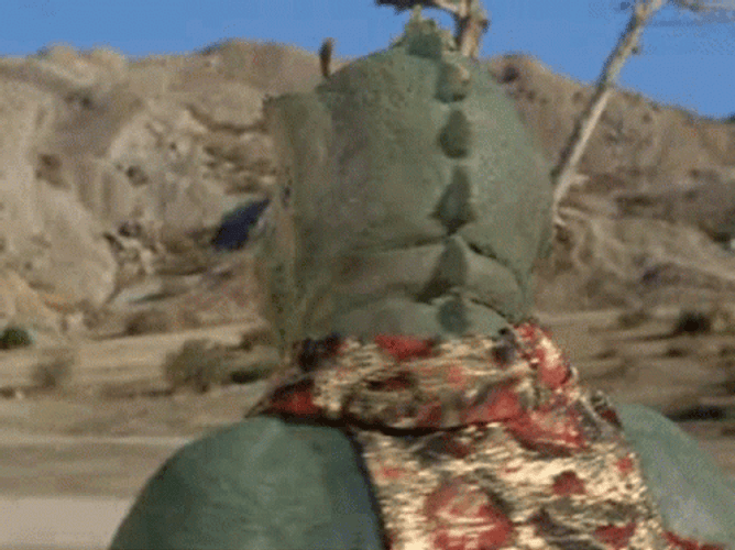 Star Trek Chinchilla GIF