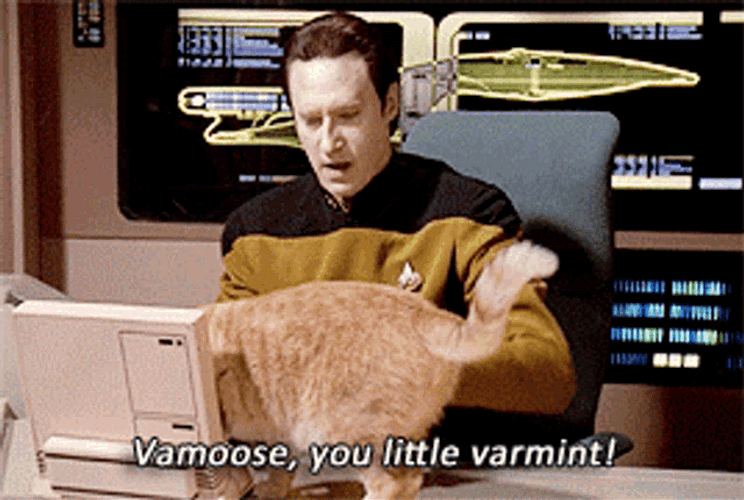 Star Trek Fictional Character Data GIF