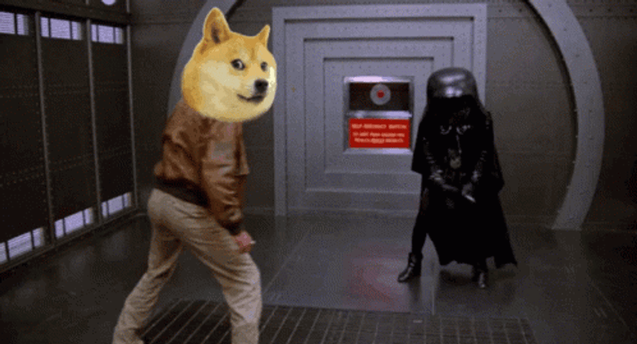 Star Wars Doge GIF