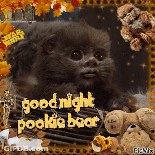 Star Wars Greeting Card With Pookie Bear GIF