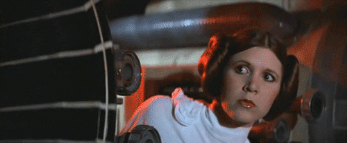 Star Wars Peeping Princess Leia Organa GIF