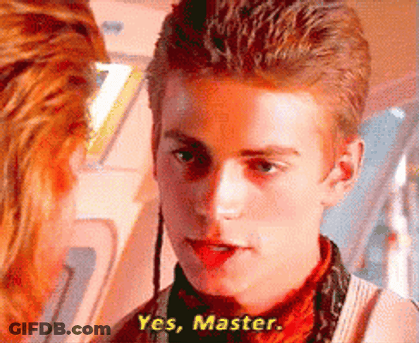 Star Wars Yes Master GIF