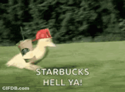 Starbucks Cup With Green Logo GIF