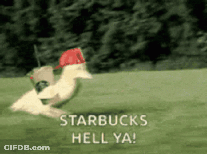Starbucks GIF